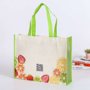 Advertising Gifts Packing Recycling promotional Custom Printing Economy Fashion Non Woven Bag